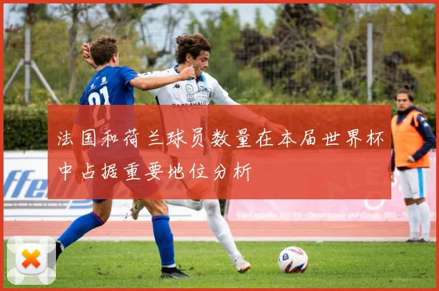 法国和荷兰球员数量在本届世界杯中占据重要地位分析